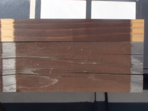 木材保護塗料　屋外暴露試験約2年後