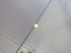 屋根に星が落ちてました