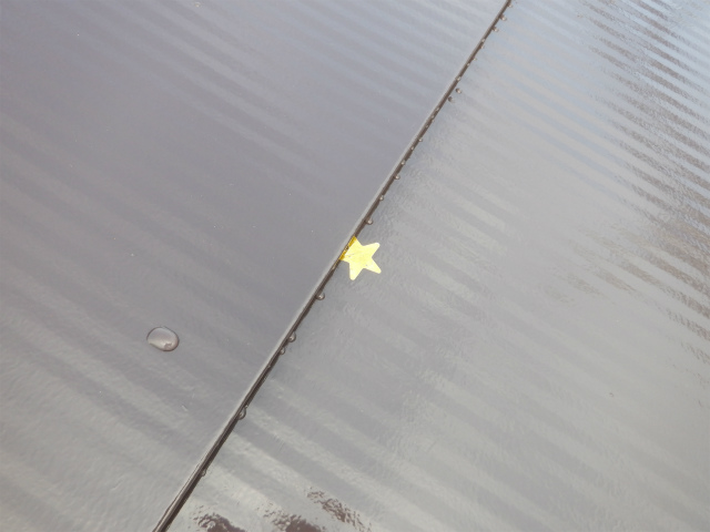 屋根に星が落ちてました