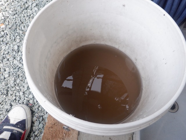 軒樋の汚れで濁ったバケツの水