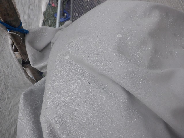 雨上がりの北面外壁の状態