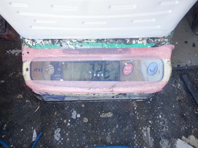 2液形の錆止め塗料によるトタン屋根の塗装