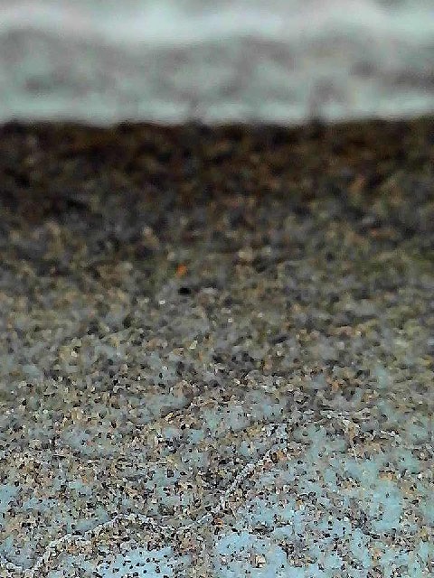 ハゼ内部の下地処理前をデジタル顕微鏡で撮影した様子
